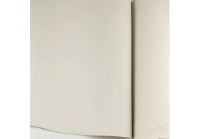 Ekoskóra STANDARD kolor Ecru