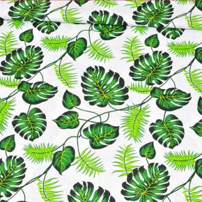Tkanina bawełniana wzór zielone Tropikalne Liście na białym