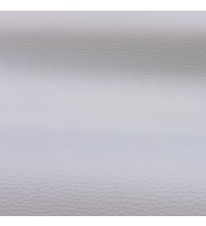 Ekoskóra STANDARD kolor Biały