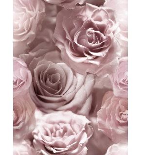 Welurowa tkanina obiciowa z nadrukiem 390097-107